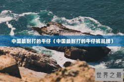 中国最耐打的牛仔（中国最耐打的牛仔裤品牌）