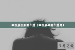 中国最膨胀的车牌（中国最牛的车牌号）