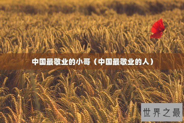 中国最敬业的小哥（中国最敬业的人）