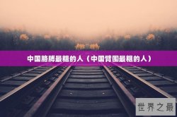 中国胳膊最粗的人（中国臂围最粗的人）