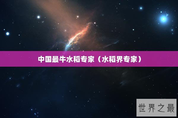 中国最牛水稻专家（水稻界专家）