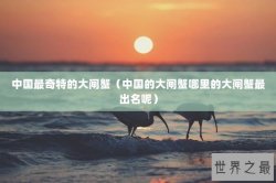 中国最奇特的大闸蟹（中国的大闸蟹哪里的大闸蟹最出名呢）
