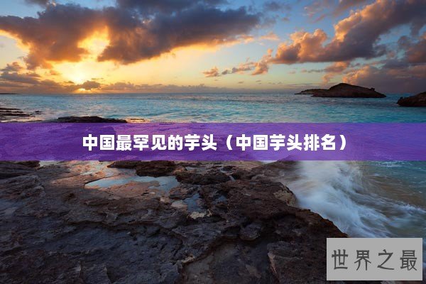 中国最罕见的芋头（中国芋头排名）