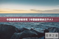 中国最聪明老板排名（中国最聪明的三个人）