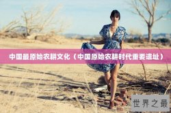 中国最原始农耕文化（中国原始农耕时代重要遗址）