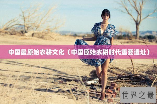 中国最原始农耕文化（中国原始农耕时代重要遗址）