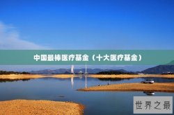 中国最棒医疗基金（十大医疗基金）