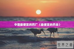中国最便宜的药厂（最便宜的药品）