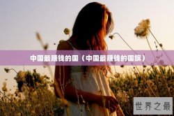 中国最赚钱的国（中国最赚钱的国旗）