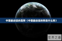 中国最凶猛的螽斯（中国最凶猛的狗是什么狗）