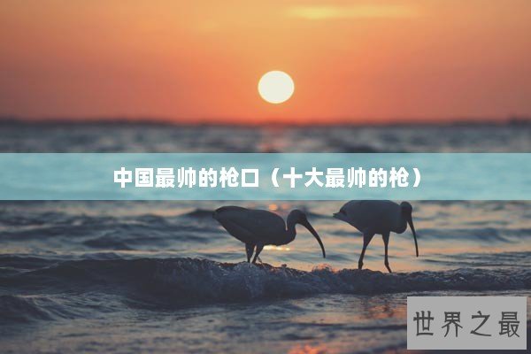 中国最帅的枪口（十大最帅的枪）