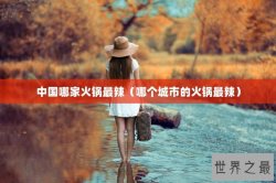 中国哪家火锅最辣（哪个城市的火锅最辣）