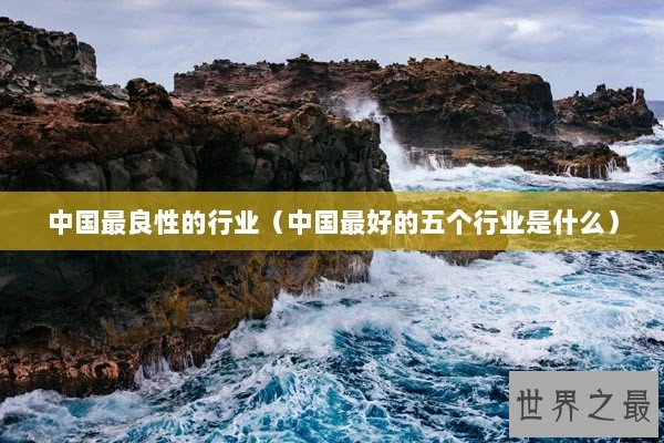 中国最良性的行业（中国最好的五个行业是什么）