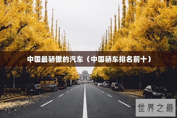 中国最骄傲的汽车（中国骄车排名前十）