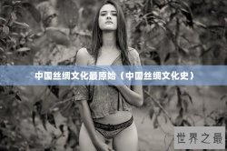 中国丝绸文化最原始（中国丝绸文化史）
