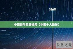 中国最牛反转视频（中国十大逆转）