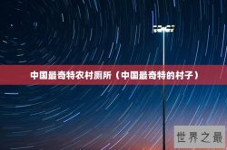 中国最奇特农村厕所（中国最奇特的村子）