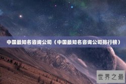 中国最知名咨询公司（中国最知名咨询公司排行榜）