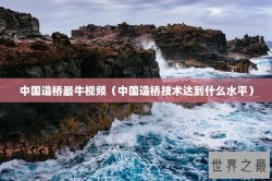 中国造桥最牛视频（中国造桥技术达到什么水平）