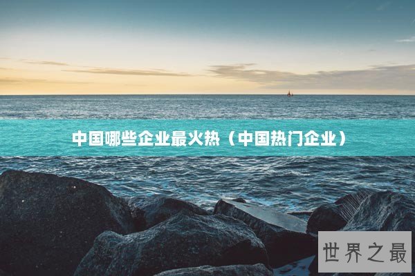 中国哪些企业最火热（中国热门企业）