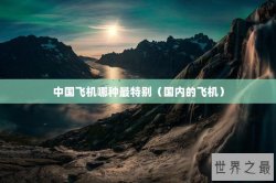 中国飞机哪种最特别（国内的飞机）