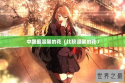 中国最温馨的花（比较温馨的花）