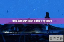 中国最成功的钢材（中国十大钢材）