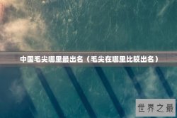 中国毛尖哪里最出名（毛尖在哪里比较出名）