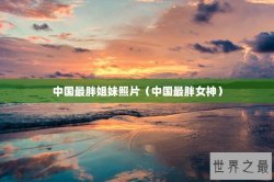 中国最胖姐妹照片（中国最胖女神）