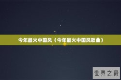 今年最火中国风（今年最火中国风歌曲）