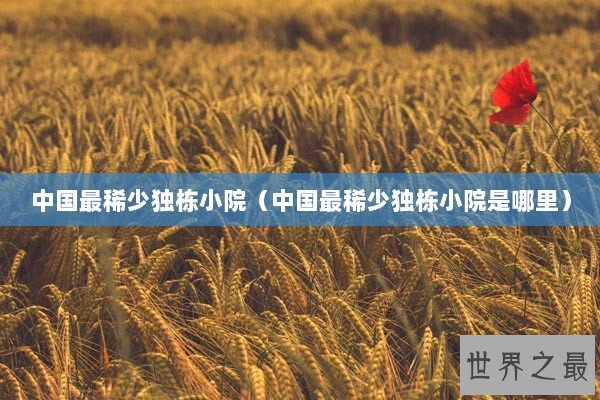 中国最稀少独栋小院(中国最稀少独栋小院是哪里) 中国最稀少独栋小院(中国最稀少独栋小院是哪里)