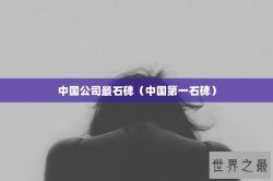 中国公司最石碑（中国第一石碑）