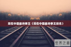 现在中国最帅拳王（现在中国最帅拳王排名）