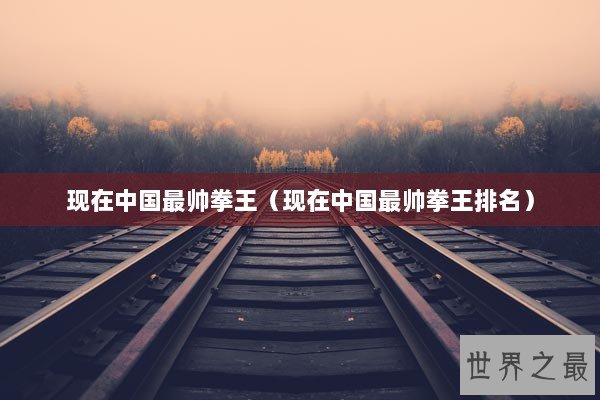 现在中国最帅拳王（现在中国最帅拳王排名）