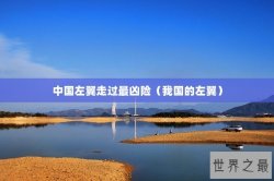 中国左翼走过最凶险（我国的左翼）