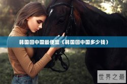 韩国回中国最便宜（韩国回中国多少钱）