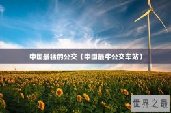 中国最猛的公交（中国最牛公交车站）