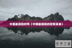 中国最孤独的鸭（中国最孤独的冠军是谁）