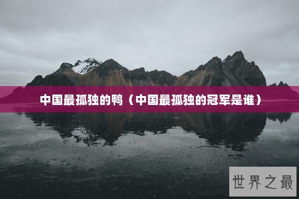 中国最孤独的鸭(中国最孤独的冠军是谁) 中国最孤独的鸭(中国最孤独的冠军是谁)