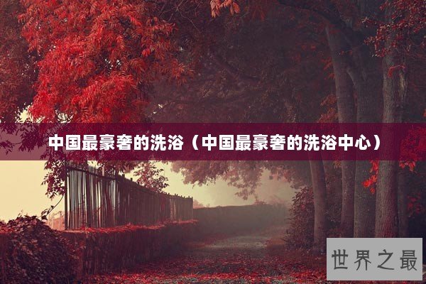 中国最豪奢的洗浴（中国最豪奢的洗浴中心）
