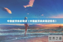 中国最顶级皮箱店（中国最顶级皮箱店排名）