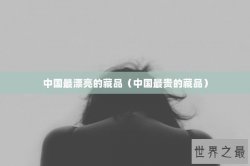 中国最漂亮的藏品（中国最贵的藏品）