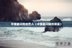 中国最闪亮的艺人（中国最闪耀的明星）