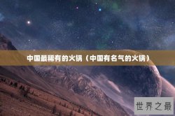 中国最稀有的火锅（中国有名气的火锅）
