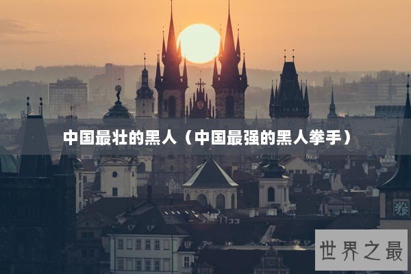 中国最壮的黑人（中国最强的黑人拳手）