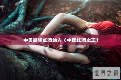 中国最懂红酒的人（中国红酒之王）