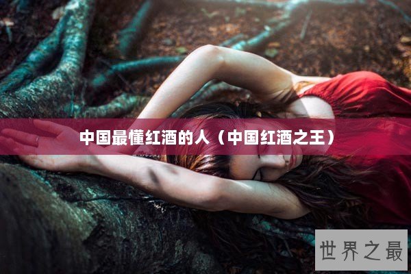 中国最懂红酒的人（中国红酒之王）