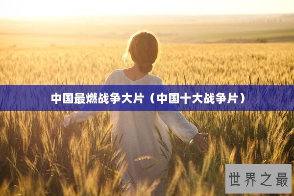 中国最燃战争大片（中国十大战争片）