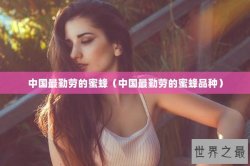 中国最勤劳的蜜蜂（中国最勤劳的蜜蜂品种）