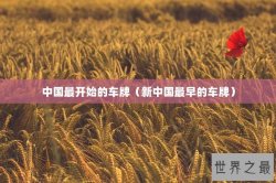 中国最开始的车牌（新中国最早的车牌）